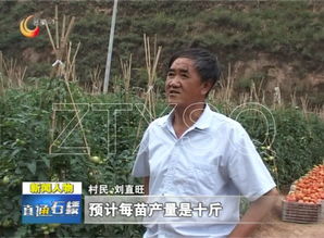 石楼这老头 宠辱不惊,老骥伏枥 真牛 刘直旺