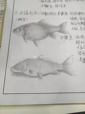 老骥都不伏枥,就服你