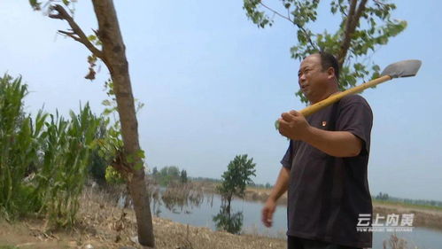 老骥伏枥,永恒初心 记内黄县二安镇大刘村党支部书记马文忠