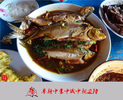 老骥伏枥,志在千里,单骑中蒙中俄中朝边陲。