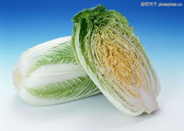 水果蔬菜0120 水果蔬菜图 水果食品图库