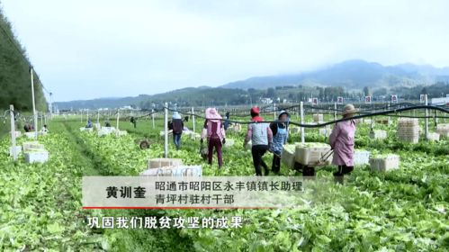 全国劳动模范黄训奎 老骥伏枥 只为乡亲生活更美好