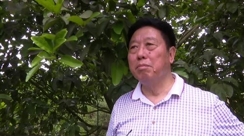 合江71岁特聘村主任 老骥伏枥志在振兴乡村
