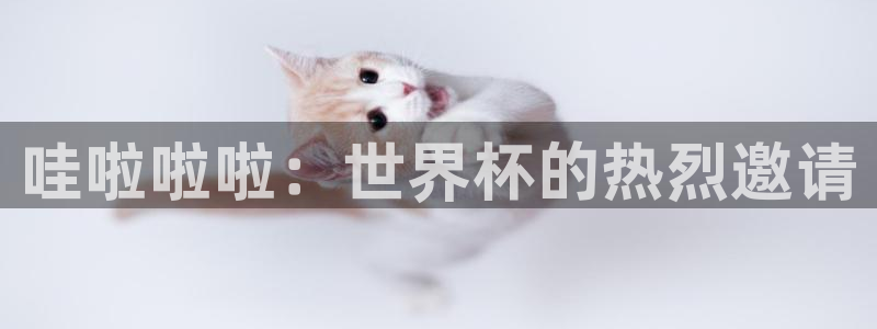 世界杯2026比赛时间表：哇啦啦啦：世界杯的热烈邀请