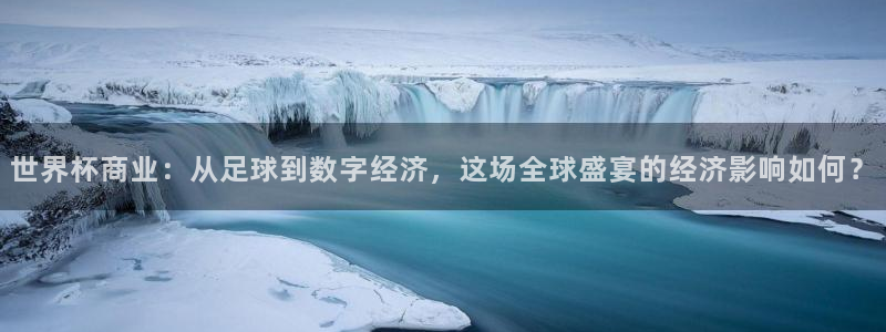 2006年世界杯冠军：世界杯商业：从足球到数字经济，这场全球盛宴的经济影响如何？