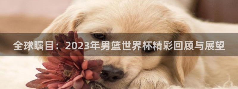 世界杯 直播：全球瞩目：2023年男篮世界杯精彩回顾与展望