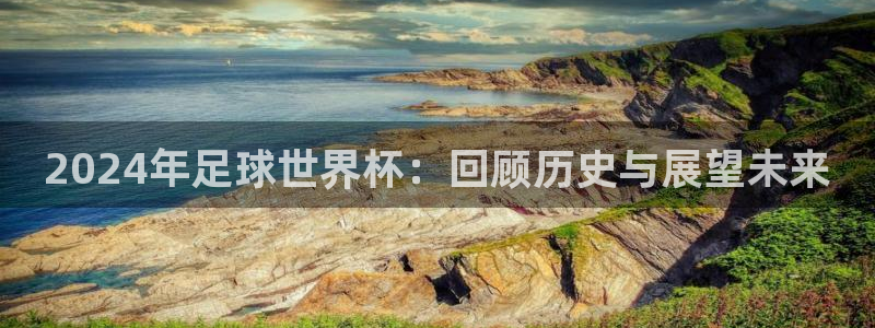 2026 世界杯：2024年足球世界杯：回顾历史与展望未来