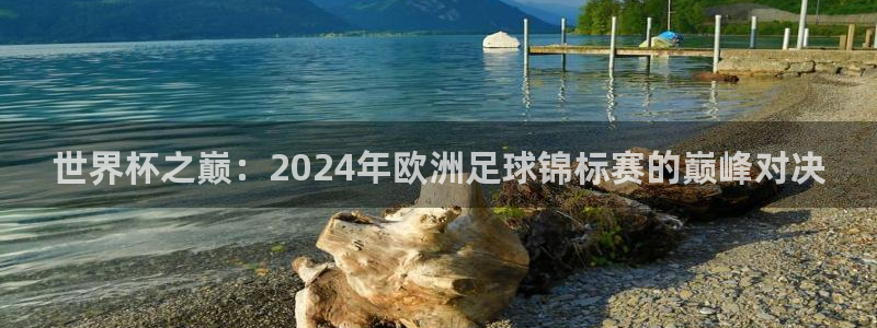看世界杯：世界杯之巅：2024年欧洲足球锦标赛的巅峰对决