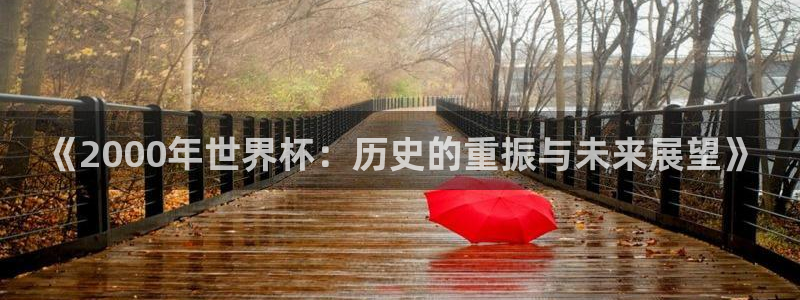 世界杯足球赛2026赛程时间：《2000年世界杯：历史的重振与未来展望》