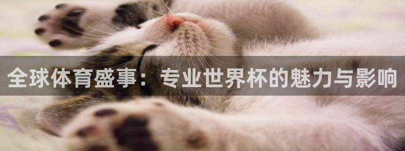 世界杯赛程表2026：全球体育盛事：专业世界杯的魅力与影响