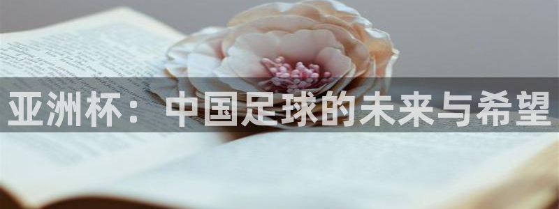 2026年男足世界杯:亚洲杯:中国足球的未来与希望