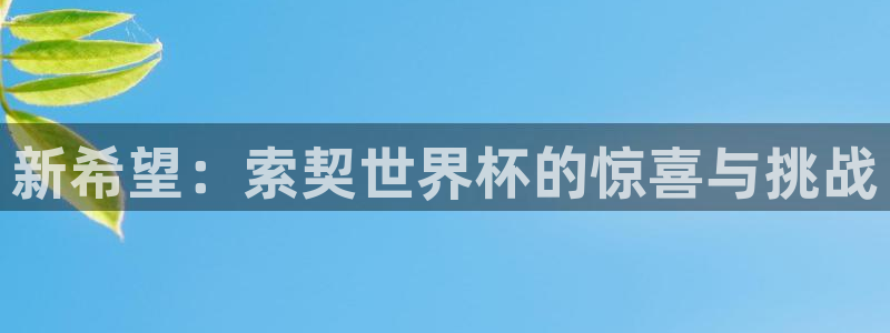 英足总杯直播:新希望:索契世界杯的惊喜与挑战