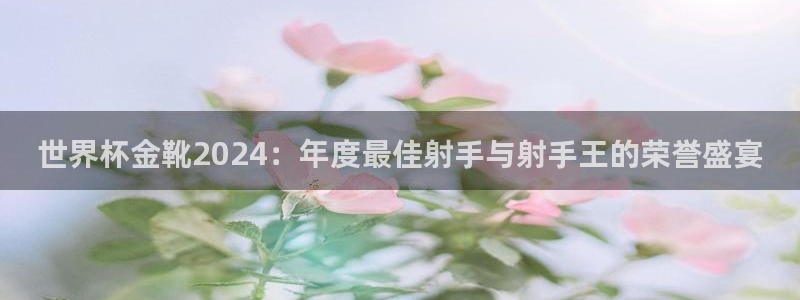 世界杯预选赛赛程表:世界杯金靴2024:年度最佳射手与射手王的荣誉盛宴