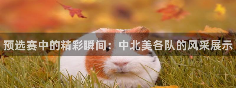 世界杯球队排名:预选赛中的精彩瞬间:中北美各队的风采展示